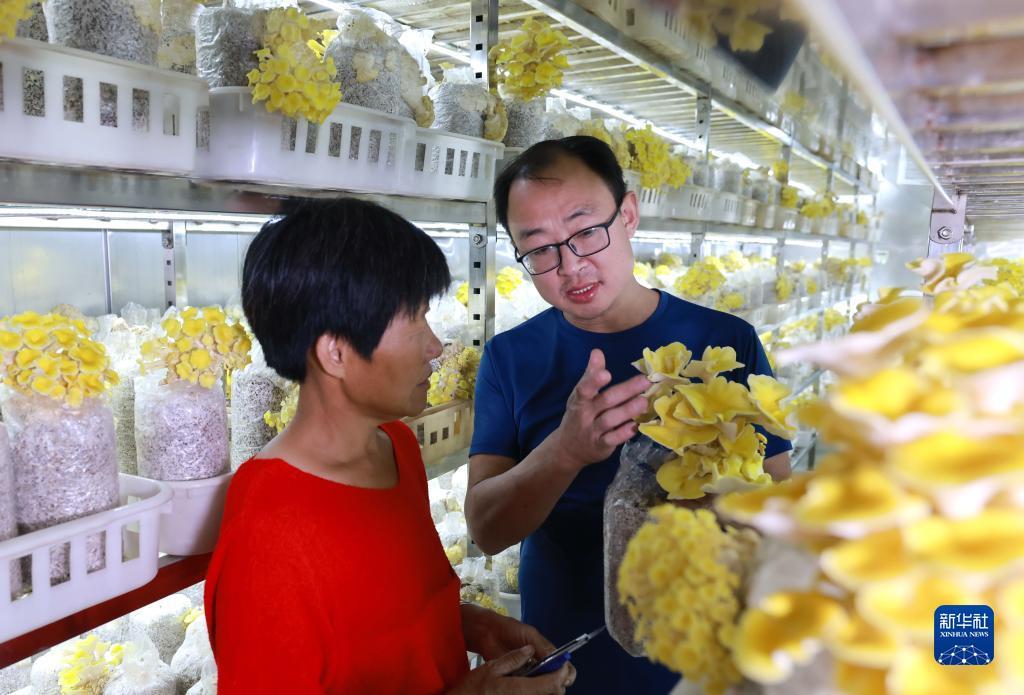 永利真人网址